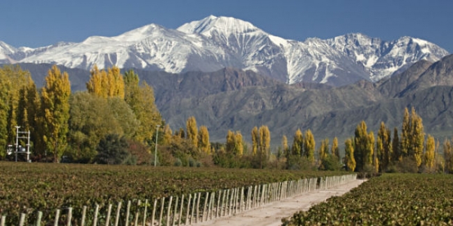 MENDOZA ENERO - FEBRERO 2021